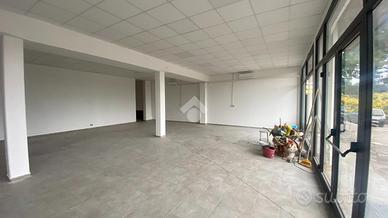 NEGOZIO A DOZZA