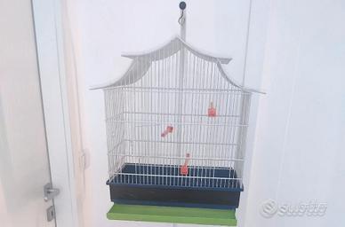 Voliera gabbia per volatili 