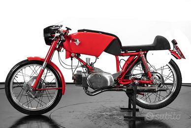 Rumi Altro Gentleman - 1959