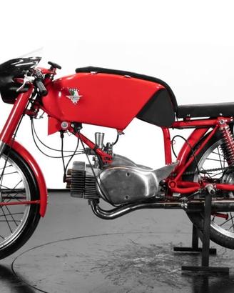 Rumi Altro Gentleman - 1959