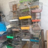 Gabbiette per canarini