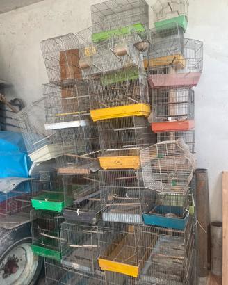 Gabbiette per canarini