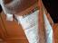 Immagine 6
