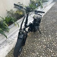 Bicicletta elettrica armony