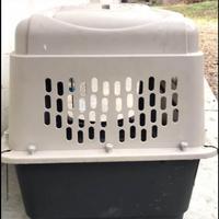 Trasportino da aereo normativa IATA 80x55x61