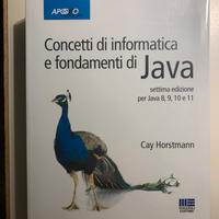 Libro Concetti di informatica e fondamenti di Java