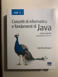 Libro Concetti di informatica e fondamenti di Java