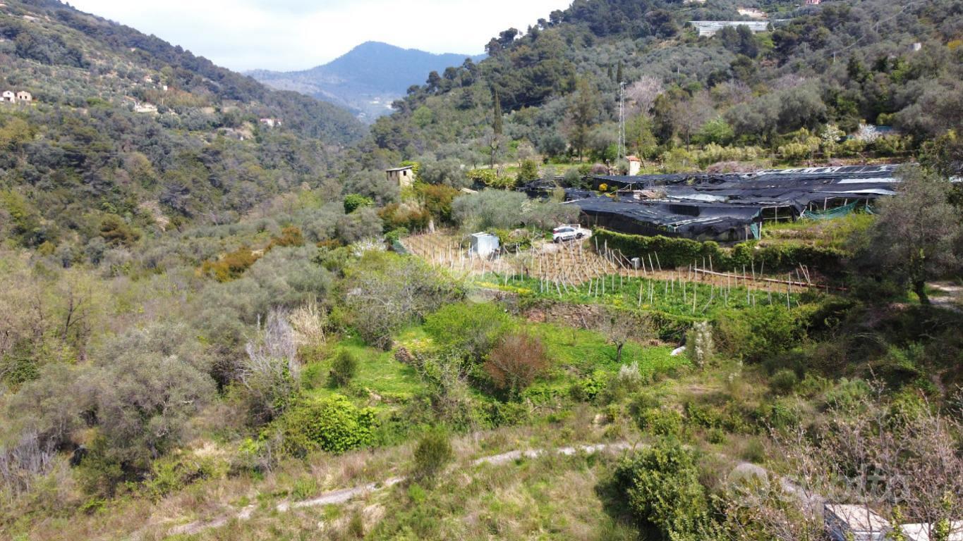 TER. AGRICOLO A VALLEBONA - Vista 2