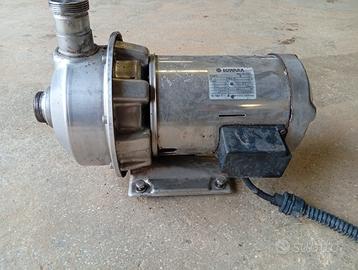 2 Pompe lowara modello CE 370/2