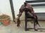 Immagine 5