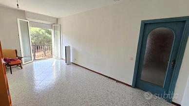 Grazioso Quadrivano fronte pineta di Ugolio