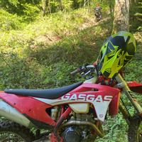 Gas gas 250