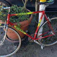 Boeris bicicletta da corsa 16 rapporti
