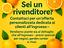 Immagine 9