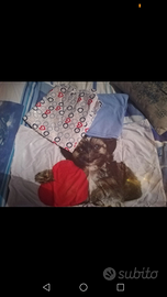 Completo letto singolo Puppy