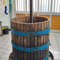 Torchio uva, carolla