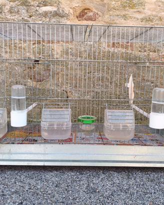 Gabbia per Canarini Bruma