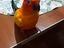 Immagine 3