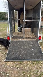 Trailer da trasporto