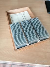 Telaietti da diapositive 7x7