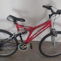 bicicletta 26