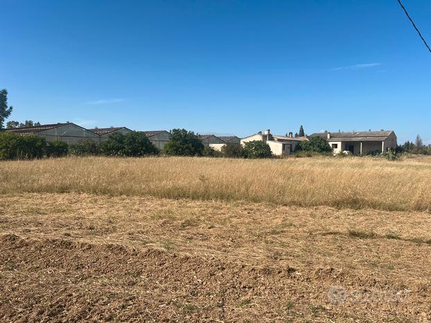 EX Azienda Fioristica vicinanze Cagliari