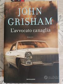 libro "L'avvocato canaglia"