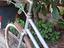 Immagine 2