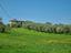 Immagine 30
