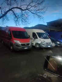 Fiat Ducato , Trasporto, autista,