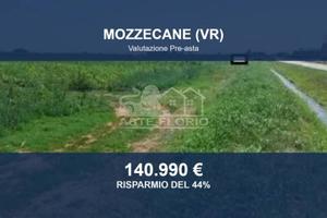Immobile in asta di 38621 m² a Mozzecane