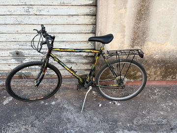 Bici MTB Shimano 24 Vintage
