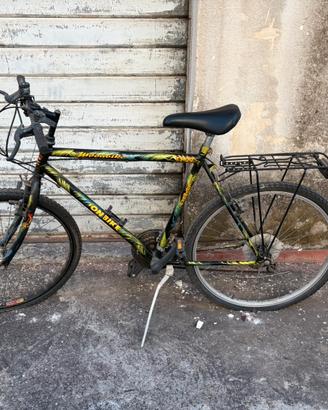 Bici MTB Shimano 24 Vintage