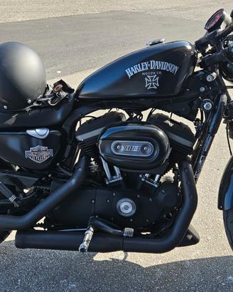 Harley Davidson 883 sportster XL Iron