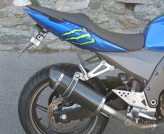Special Carbon Roadsitalia Kawasaki Z750 2004-2006