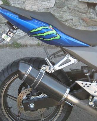 Special Carbon Roadsitalia Kawasaki Z750 2004-2006