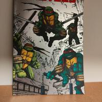 Teenage Mutant Ninja Turtles n.1 (TMNT 1 )Variant 