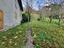 Immagine 11
