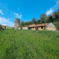 Via Casilina, azienda agricola con terreno 11Ha