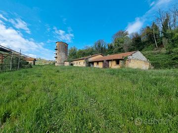 Via Casilina, azienda agricola con terreno 11Ha