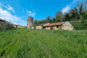 Via Casilina, azienda agricola con terreno 11Ha