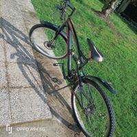 bici MTB 