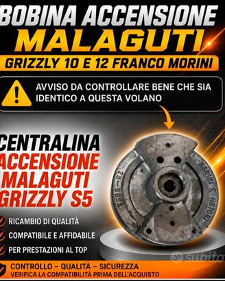 bobina centralina eccensione malaguti grizzly 