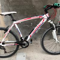 per info conttatemi questa bottecchia fx 500 nuova