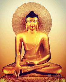 INCONTRI DI INTRODUZIONE AL BUDDHISMO