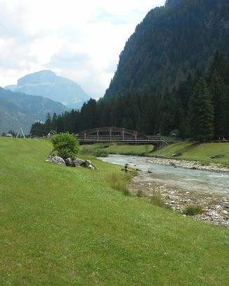 Dal 13 settembre,ottobre Val di Fassa - si cani