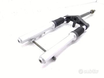 ASPES VEGA HYBRID 50 FORCELLA - CREPE SU PROTEZION