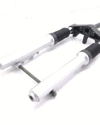 ASPES VEGA HYBRID 50 FORCELLA - CREPE SU PROTEZION