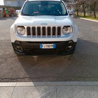 Renegade 4*4