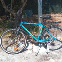 Mountain Bike cambio Shimano portapacchi e cestino